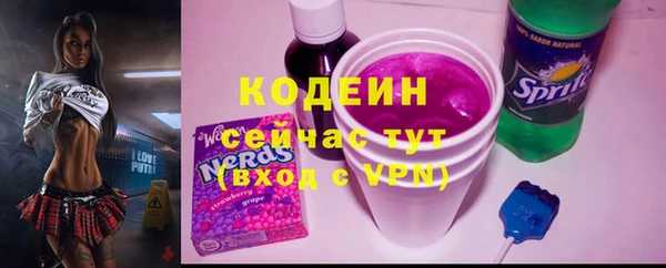трава Гусиноозёрск