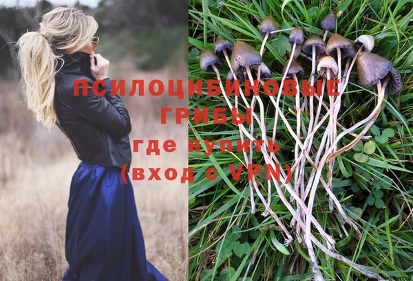гашик Гусев