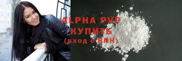 гашик Дмитриев