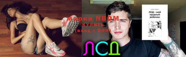 крисы Вязники