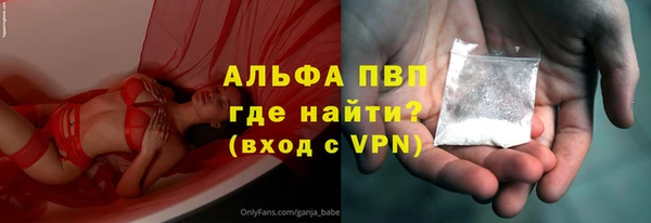 гашик Дмитриев