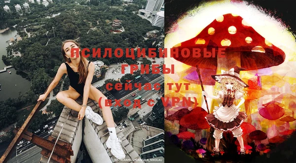 гашик Гусев