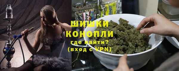 гашик Гусев