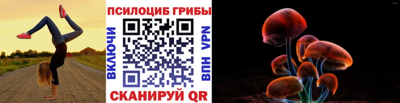 Псилоцибиновые грибы MAGIC MUSHROOMS  Кизилюрт 