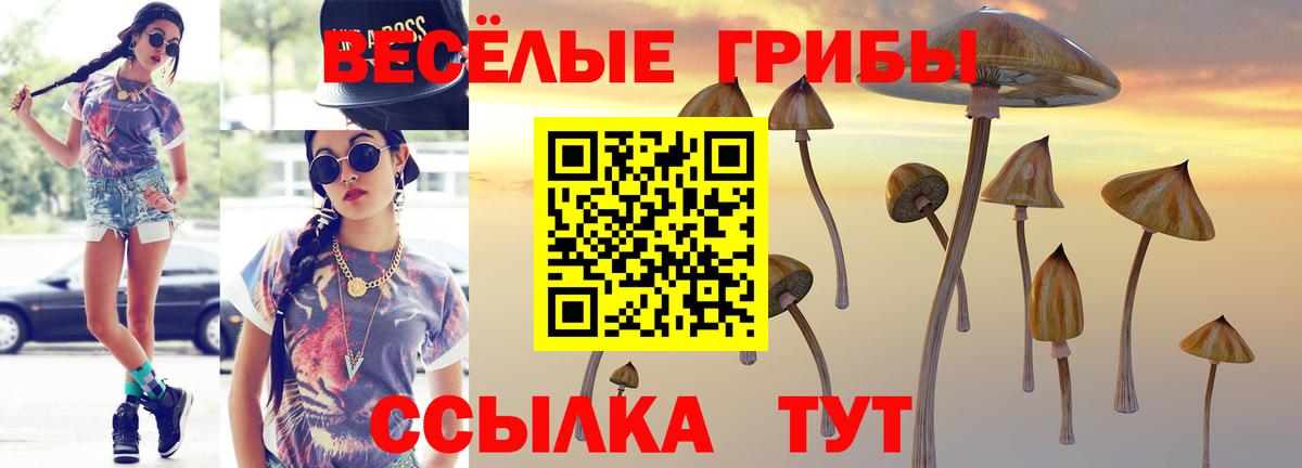 Кизилюрт  Псилоцибиновые грибы мицелий  Вход с VPN  Псилоцибиновые грибы Cubensis 